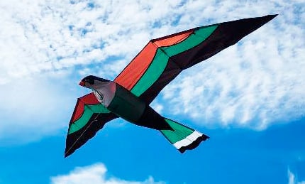 Magic Falcon